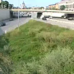 Camera Preview