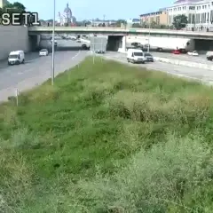 Camera Preview