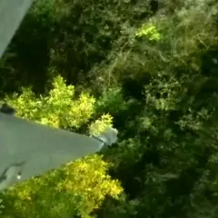 Camera Preview